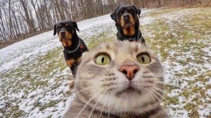 Ржу не могу. Звонок фермеру, с предложениями инвестировать.