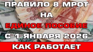 Правило 8 МРОТ на Единое пособие с 1 января 2026 Как работает