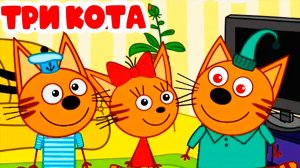 ТРИ КОТА - СЕМЬЯ КОТИКОВ ЕДУТ НА ПЕКНИК - МУЛЬТИКИ ТРИ КОТА