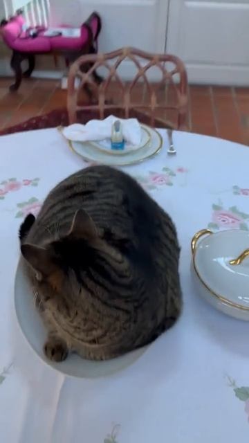 Главное блюдо