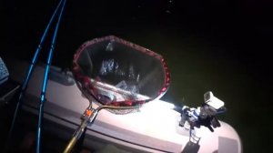 РЫБАЛКА ШОК ! ЭТО ТОРПЕДЫ... МЕТРОВЫЕ МОНСТРЫ😮!!!!