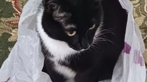 Мои покупочки))