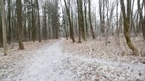 Снежинки в декабре 2025 город Ефремов