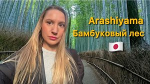 Прогулка в бамбуковом лесу Арасияма вечером. Идея для атмосферных фото