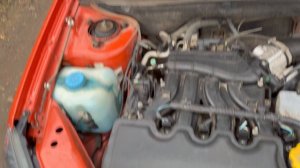 Продается калина Cross