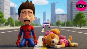 Щенячий патруль и Маршалл. Залипательное видео. Мультфильм для детей и малышей. Анимация