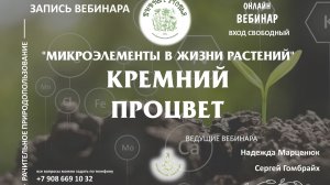 Микроэлементы в жизни растений. Кремний. Процвет