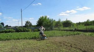 Запахиваем сидераты