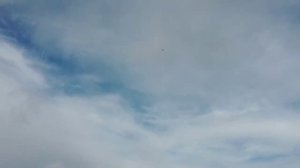 Российский дрон-перехватчик «ОСОТ»: ИИ на борту и скорость 350 км/ч