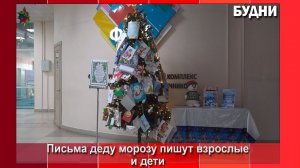 На «Елку желаний» белогорцы принесли уже более 50 писем