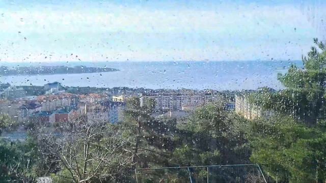 сафари парк геленджик