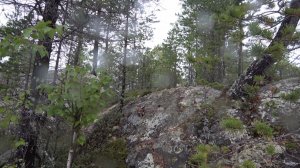 НА ТИХОМ СЕВЕРЕ 2 СЕРИЯ