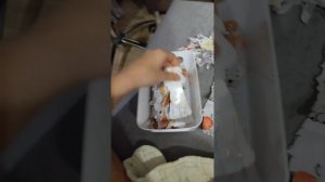 считаю своих собак 🐶