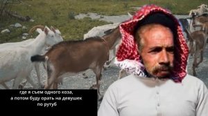 *АПАЧИ* рассказывает о своем сирийском козья ферма