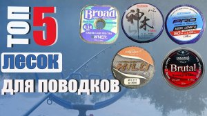 КАКУЮ леску выбрать на ПОВОДОК на фидер? Мои фавориты.