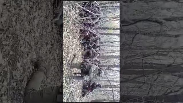 Молитва солдат перед боем на СВО, 2023 г.