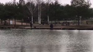 поимки форели