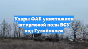 ТАСС: удары ФАБ уничтожили штурмовой полк ВСУ под Гуляйполем