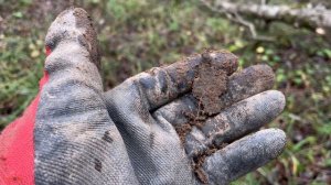 Нашел старую дорогу в лесу