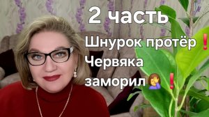 Шнурок протёр, червяка заморил🤦❗️