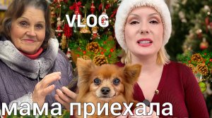 VLOG: МАМА В ГОСТЯХ! Гуляем, милашка Цветик🐕🦺// Украшаю квартиру,купила новое платье👗,распаковка