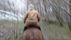 Владимир Семёнович Высоцкий " Привередливые кони"