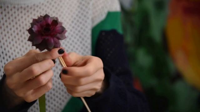 Суккулент в букете. Техника постановки