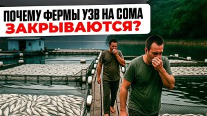 УЗВ на Африканского СОМА. 4 Фатальные ошибки, из-за которых Фермы ЗАКРЫВАЮТСЯ!