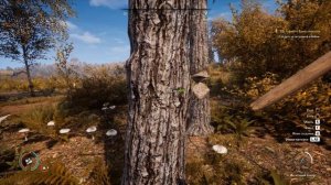 Medieval Dynasty #37