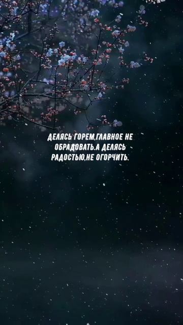 #1036 Цитата дня. Мотивация.