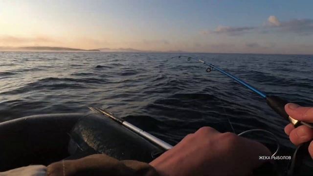 МОРСКАЯ РЫБАЛКА с лодки на СКУМБРИЮ. УЛОВИСТАЯ снасть на СКУМБРИЮ