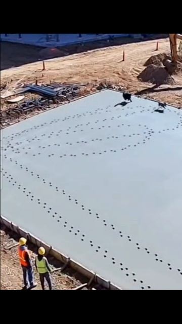 Главное!🤩 Гнать всех собак из округи НАХ еР!