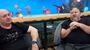 А судьи кто? (подготовка к чемпионату Дискус 2026 продолжается)