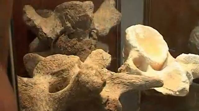 Музею 180 лет смотреть онлайн