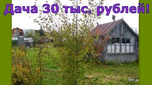 Первое видео о нашей даче. 2019 год. Купили заброшенную дачу за 30 тысяч рублей