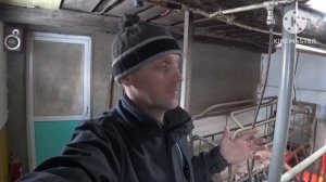 ‼️Потратил 120 т.р на плюшки для наших свинюшек‼️Установка новых опоросных станков‼️