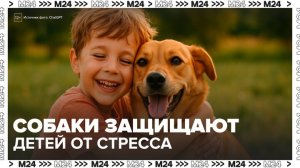 Ученые выяснили, что домашние собаки благотворно влияют на психику детей - Москва 24