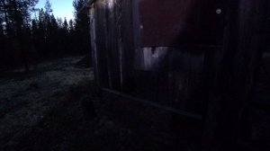 МЕДВЕДЬ РАЗГРОМИЛ ИЗБУ...