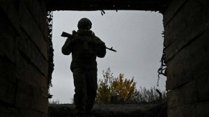 ВС РФ освободили Новоданиловку в Запорожской области и Червоное в ДНР