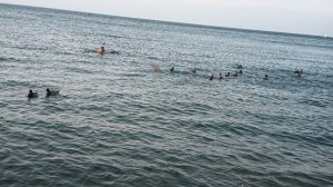 Анапа, декабрь, 2025