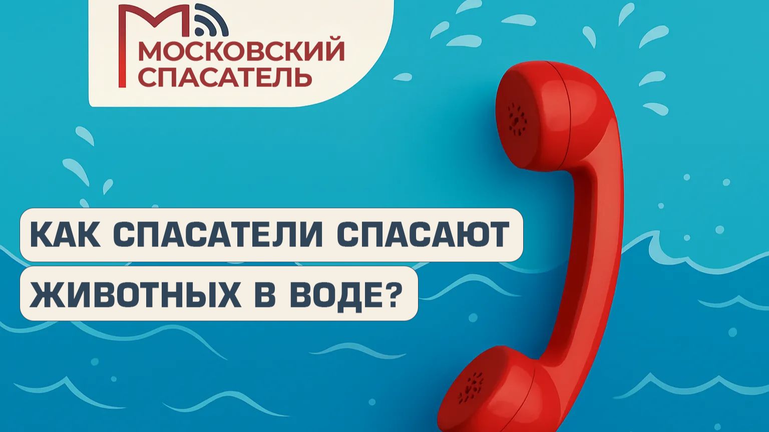 112 вопросов взрослому о спасателях на воде. Выпуск №11.