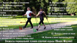 Nordic Walking. Техника ходьбы с палками.
