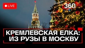 Главная новогодняя ель России едет в Кремль из Рузы. Трансляция