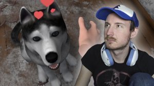 СИМУЛЯТОР УБОРЩИКА ЗА ЖИВОТНЫМИ | House Flipper Pets VR