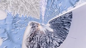 Зимушка Зима 3!!! Чудо природы от Киностудии Мудрого Кота Тимофея!