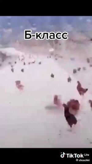 а в какой класс хотел бы ты?