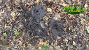 ТАКОГО МЕТАЛЛОКОПА У МЕНЯ ДАВНО НЕ БЫЛО! ВСЁ ПОШЛО НЕ ПО ПЛАНУ!