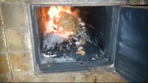 Шершнёвое гнездо