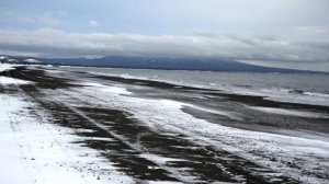 Цунами после землетрясения в Японии может достичь Южных Курил