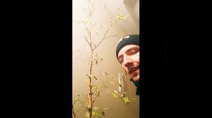 5ддддеееаяаяаяаккакакакаббаяаяараряарраяаяаяяввевееаяаяананноояаяммаммм!!!!!!222000252255гг...!!!!!!